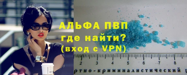 прущие грибы Михайловка