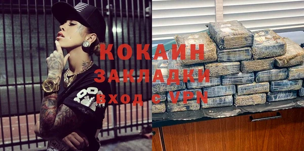 прущие грибы Михайловка