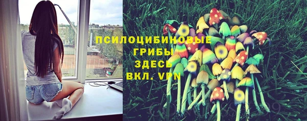 винт Михайлов