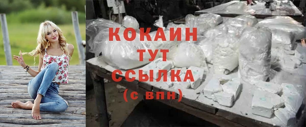 прущие грибы Михайловка