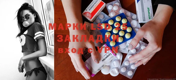прущие грибы Михайловка
