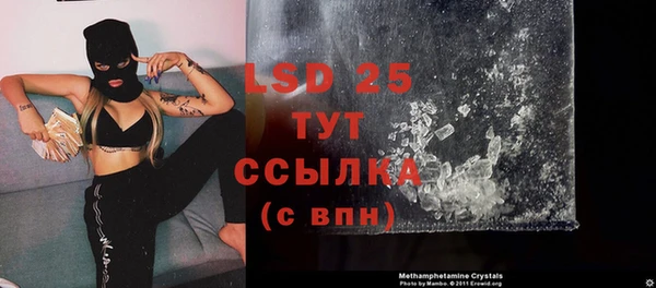 прущие грибы Михайловка
